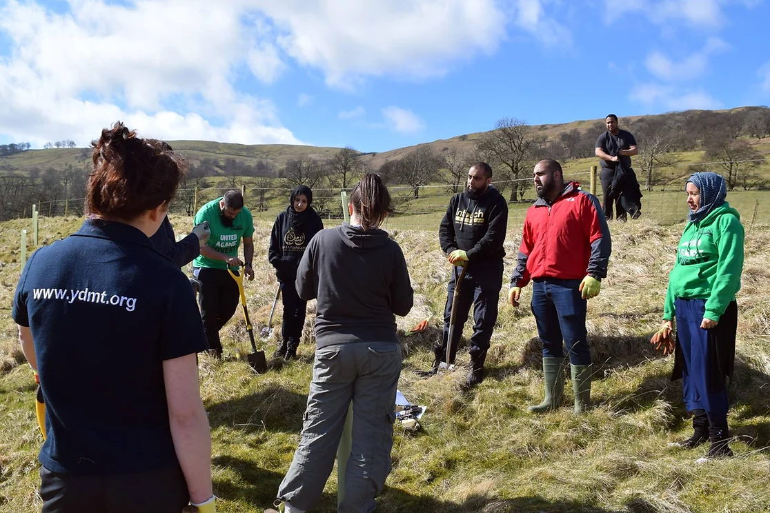 Plant A Tree Project